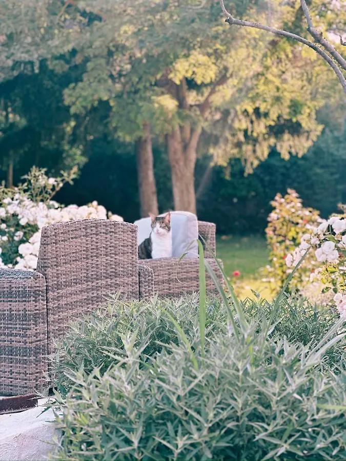 Bed and Breakfast Maison Francoise Aix-en-Provence Nocleg ze śniadaniem